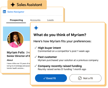 Product UI image representing sales assistant